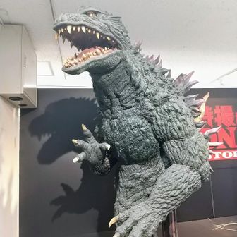コウキ