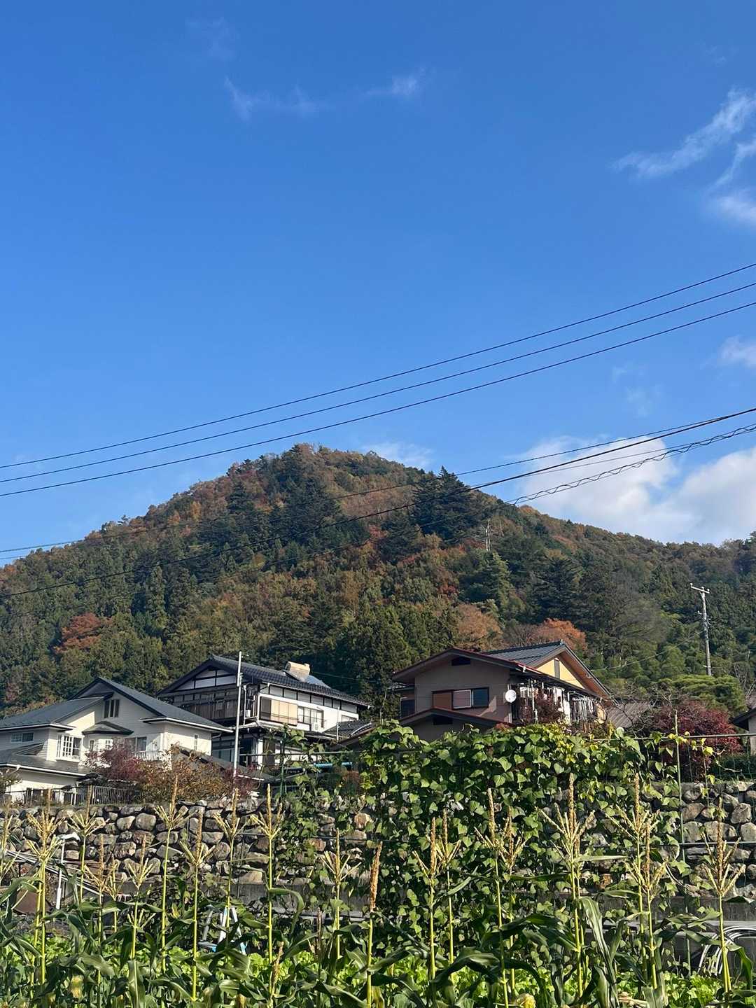 新井バス停下車。
まず見えるのは本日一座目となる虎丸。