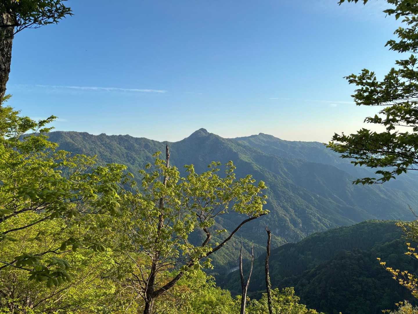 尾平トンネル登山口-丸山-本谷山-笠松山-九折越-傾山 往復コースの写真