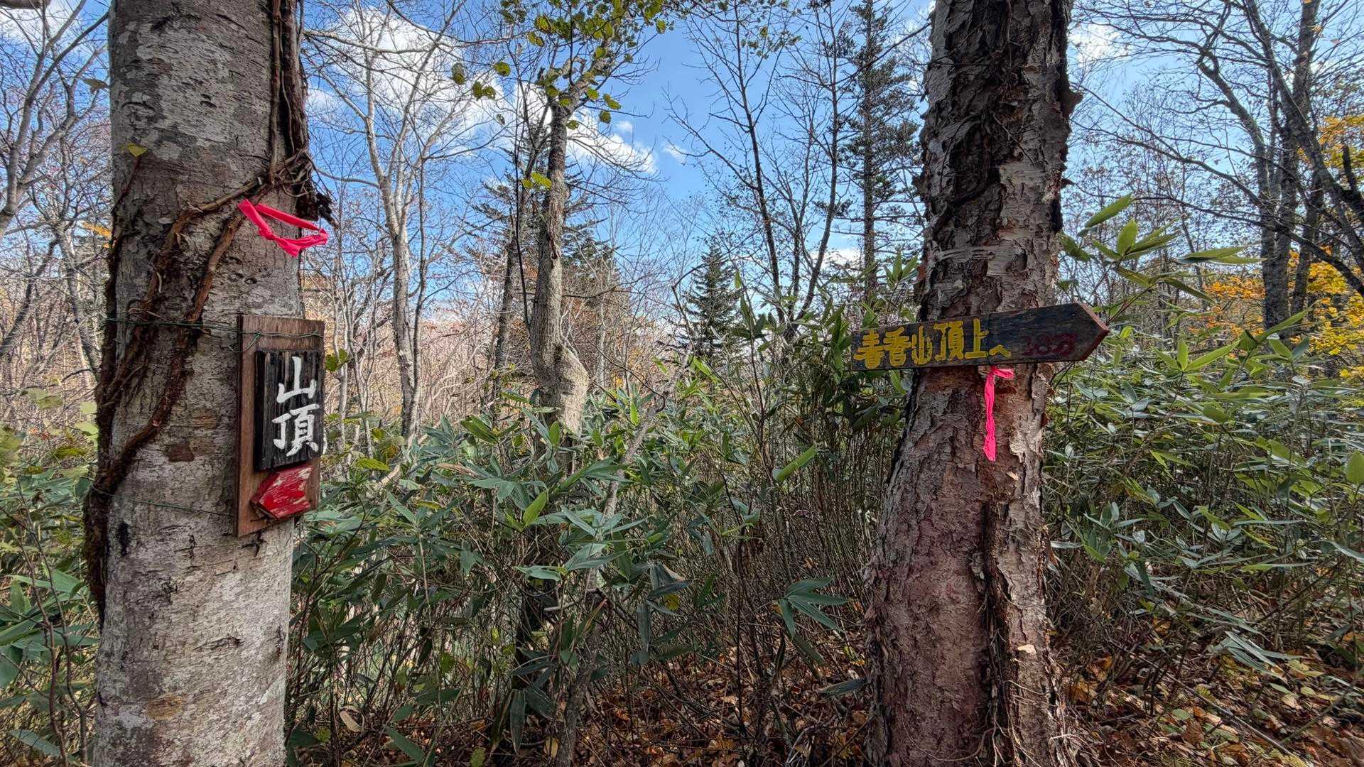 桂岡登山口-銭函峠-春香山 往復コースの写真