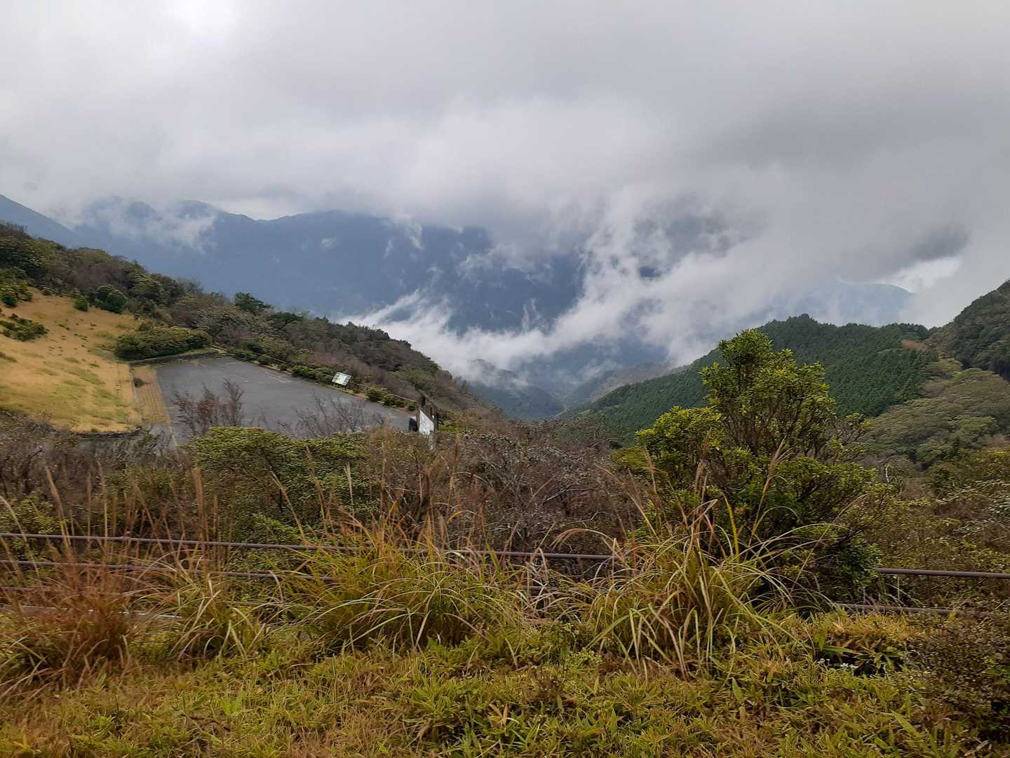戸田峠-小達磨山-達磨山-古稀山-伽藍山 往復コースの写真