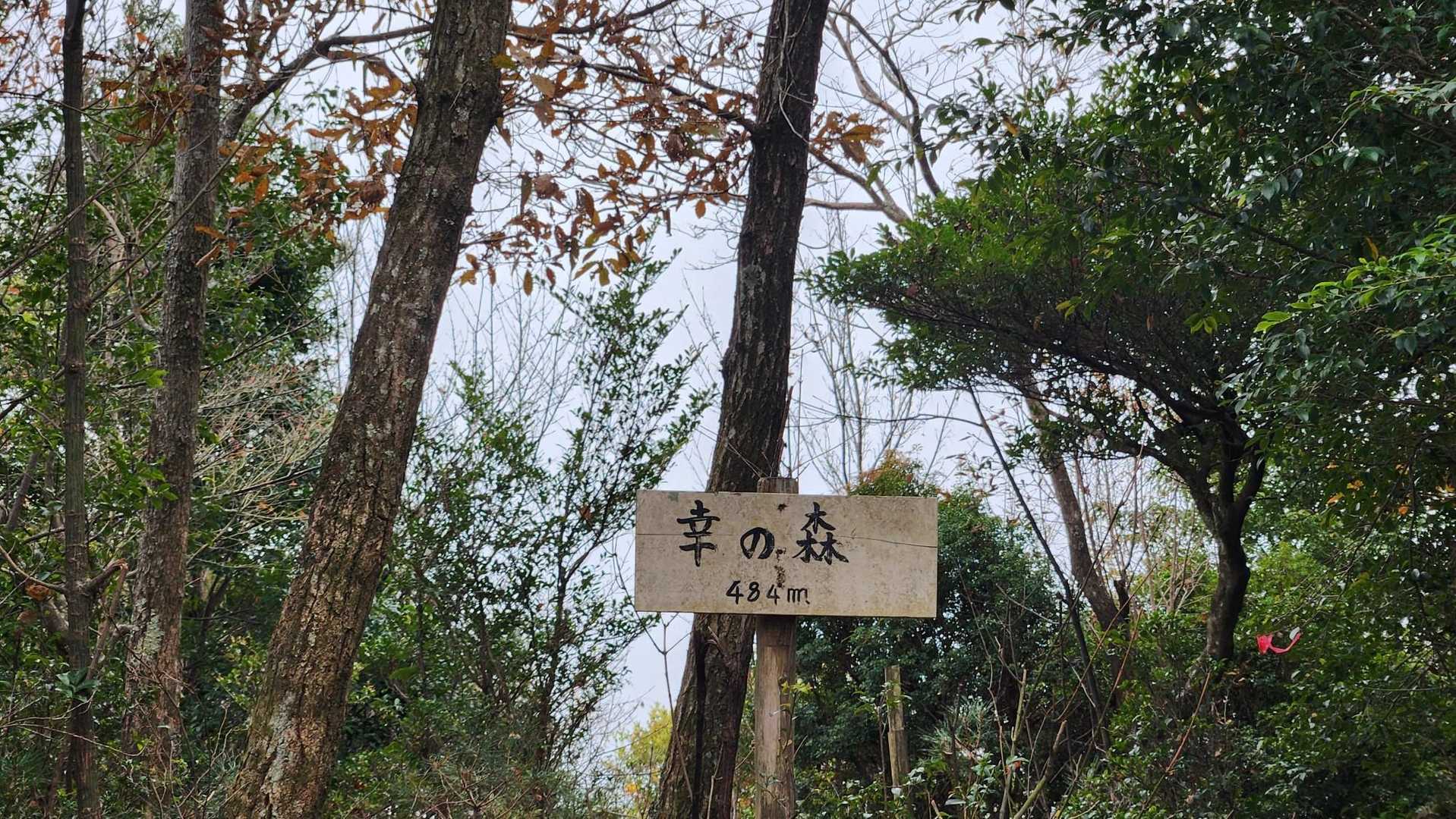 幸の森　少し雲ってきた(^^ゞ