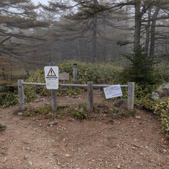 登山口  よろしくお願いします🙏