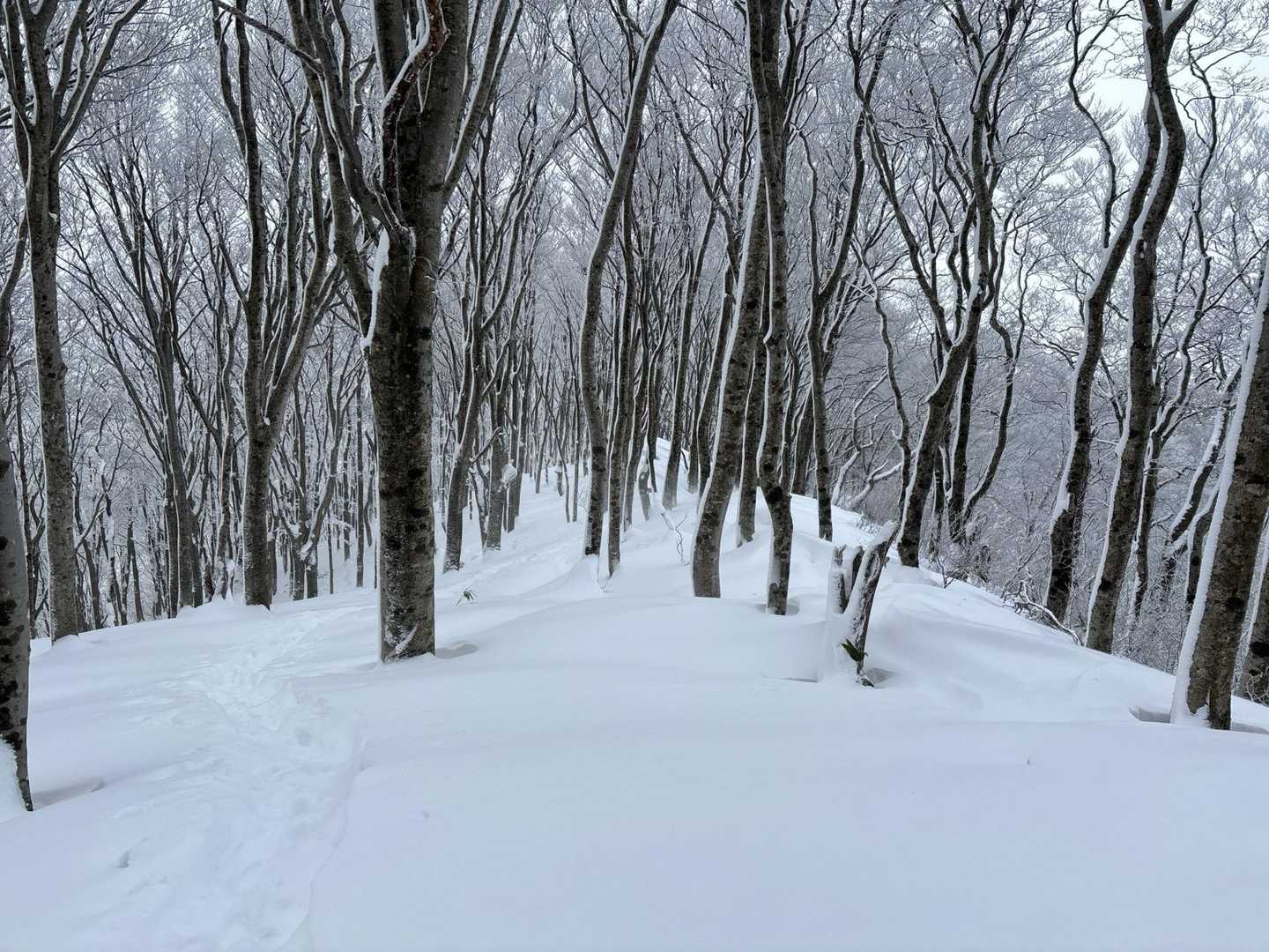 ちょっと天候落ち着いてきた