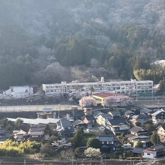 向こうは安芸高田市立向原小学校