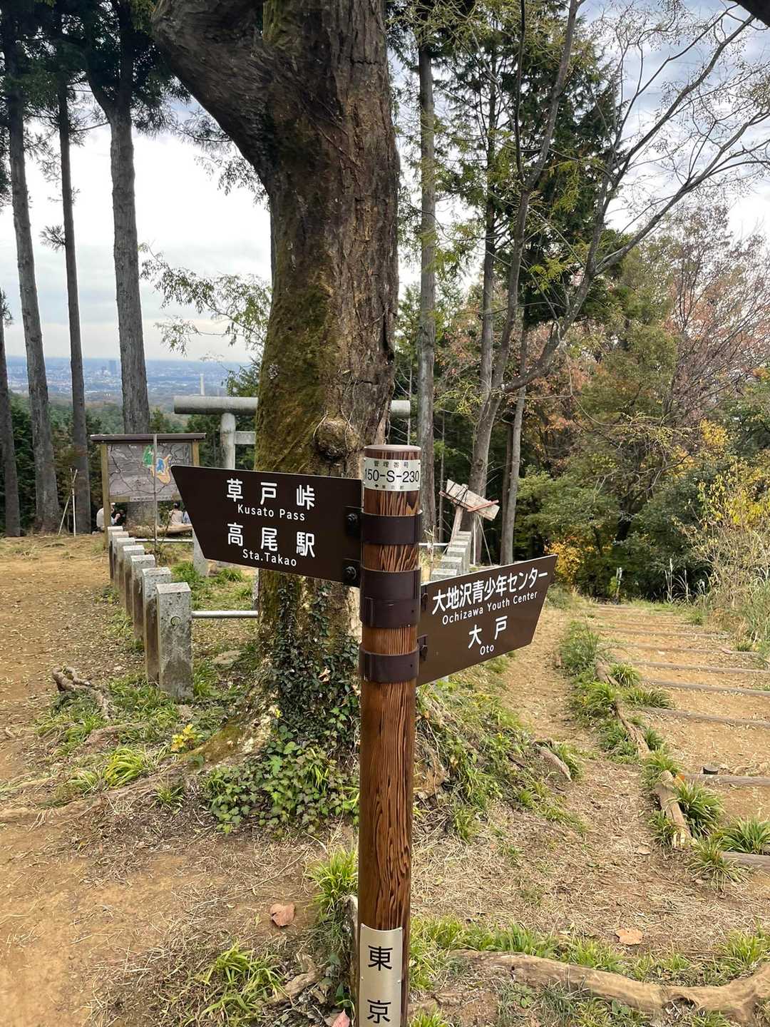 草戸山到着！ハーモニカおじさん、ジブリの曲を🎶