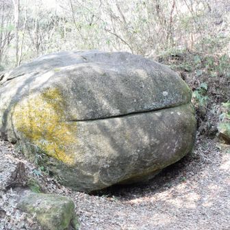 久しぶりハムバーガー🪨