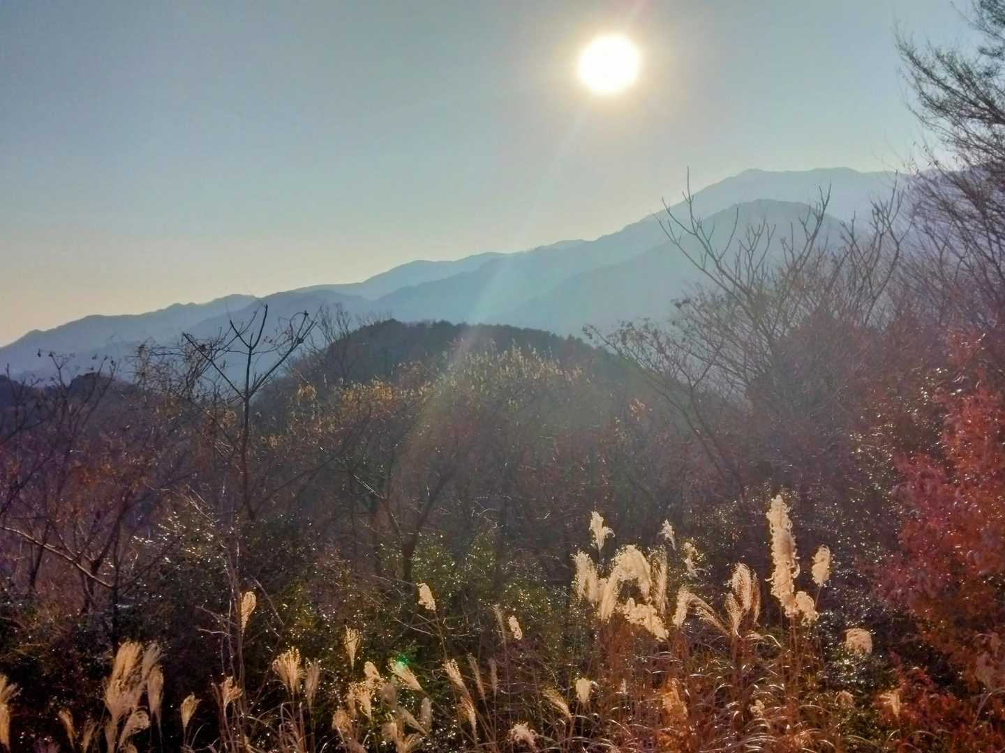 白山・桜山 | 自然と歴史が美しく調和する特等席。厚木の名山ハイキングの写真