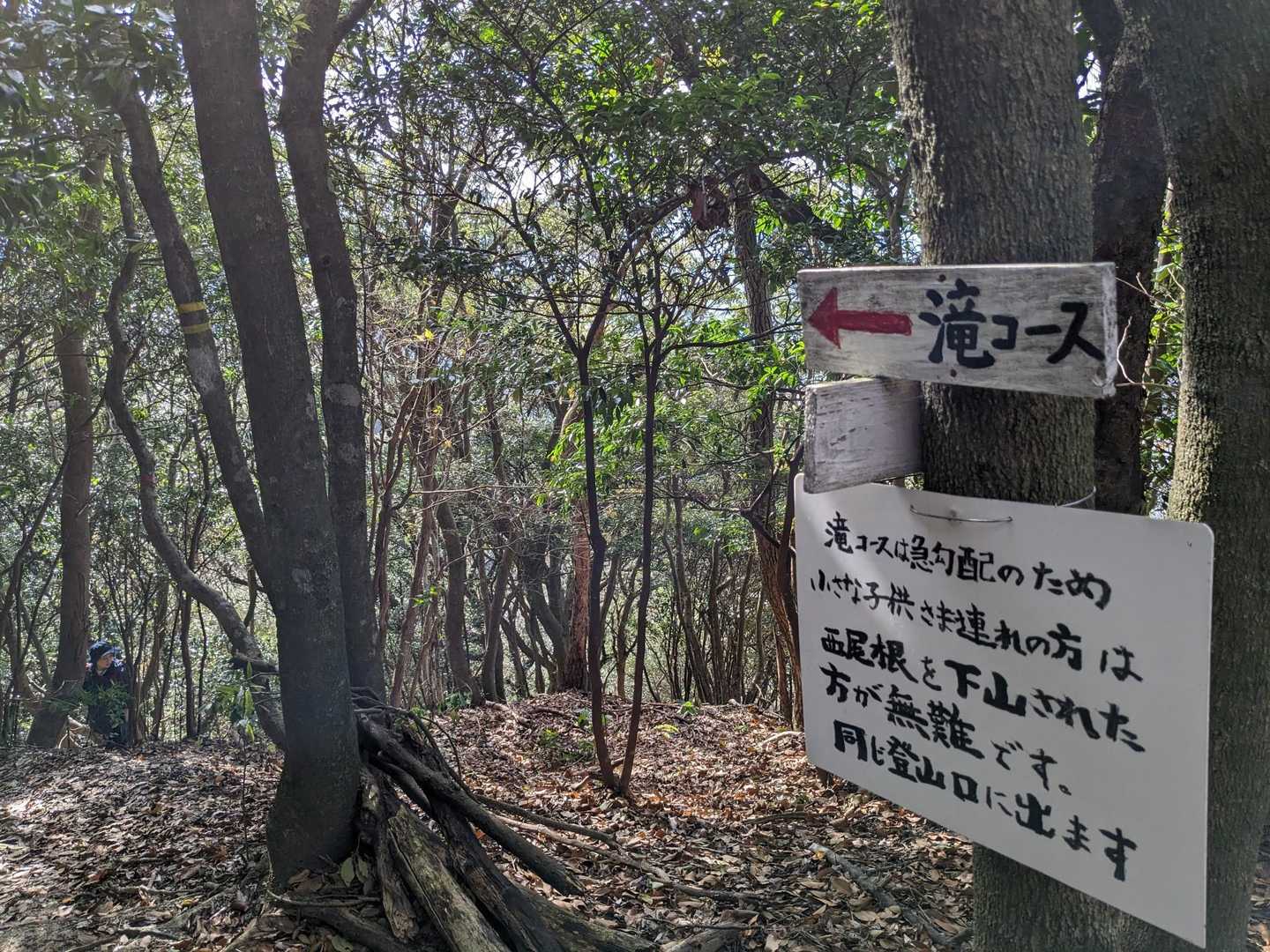 下山は滝コースを使います🚶