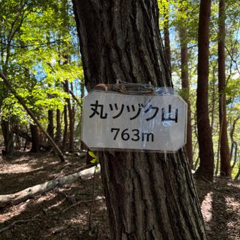 丸ツヅク山到着