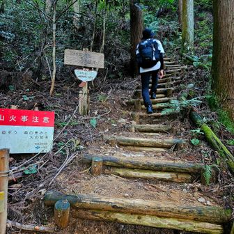 いわわきの道・きゅうざかの道
の登山口😎

こちら側から歩くのは初めてですが3年前に来た時に東峰からきゅうざかの道を下りてきて⤵️
いわわきの道を登り返して滝畑に戻ったのでここは記憶にあります🤭

きゅうざかの道って名前がそそるのできゅうざかの道をチョイス🤤

(それ程急な道ではないですがただ階段が少し多い😅)

日の入りまで1時間…
間に合うかな💧