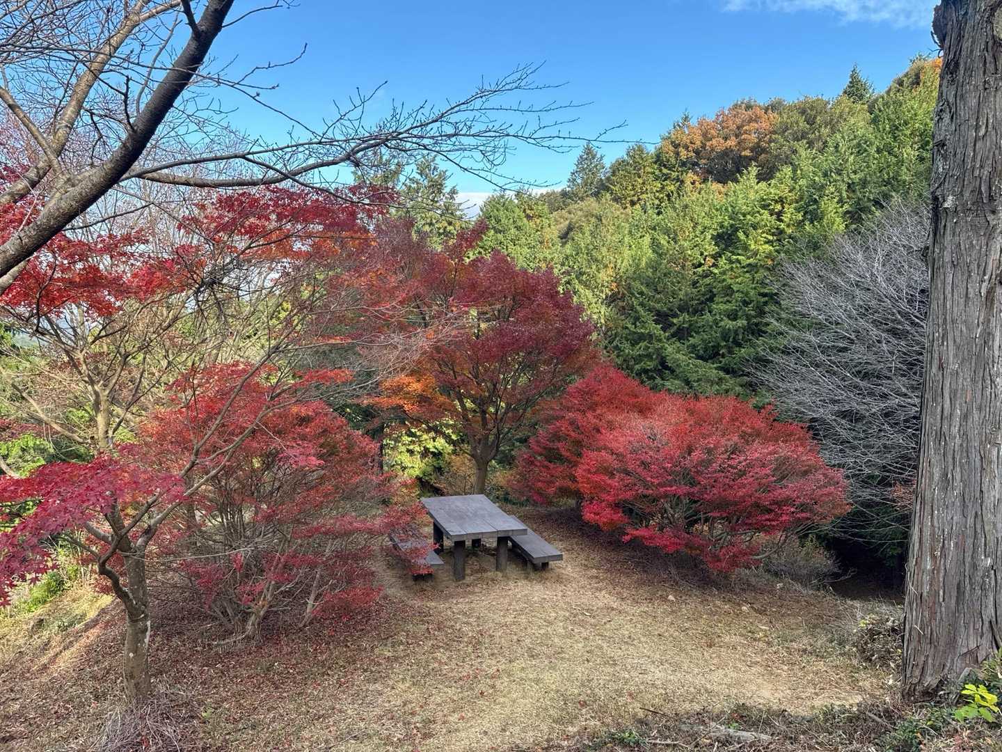 内山コース登山口-宮路山 往復コースの写真