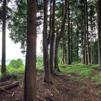 出発から約45分で城の山の頂上に着きました