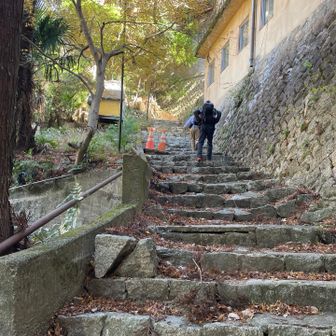 と言うことでシメの階段笑