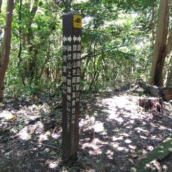 情報量満載の道標