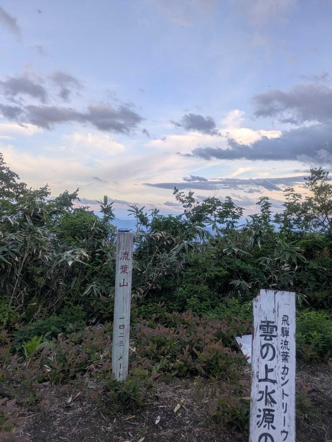 ２年ぶりかな