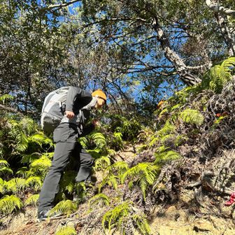 勾配エグすぎで