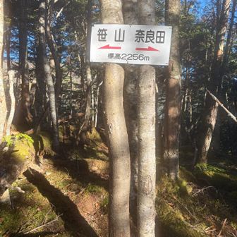 ここからあと500m！