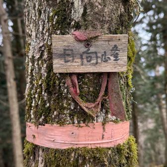 行きに寄れなかったピーク