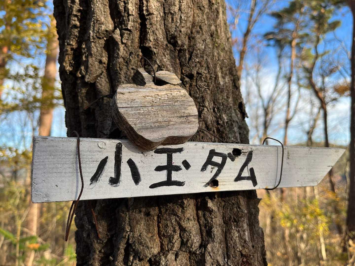 りんご🍎だね。

私の中では、小玉と言ったら
スイカ🍉だけどね。
