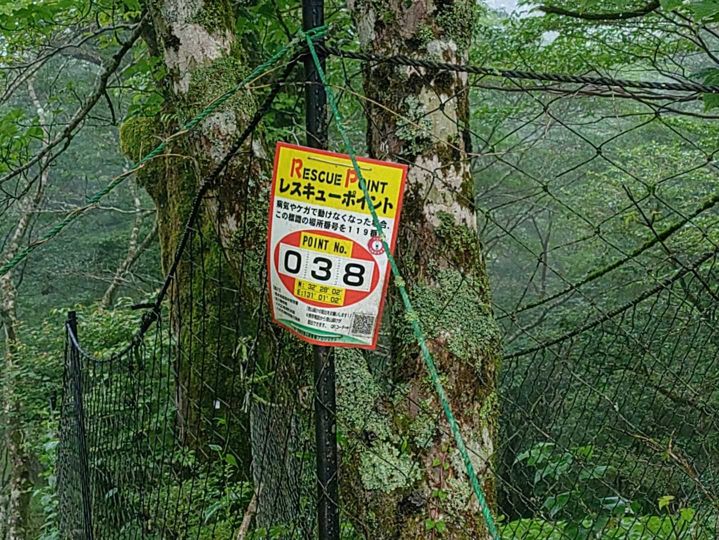 🚁🧑‍🚒レスキューポイント