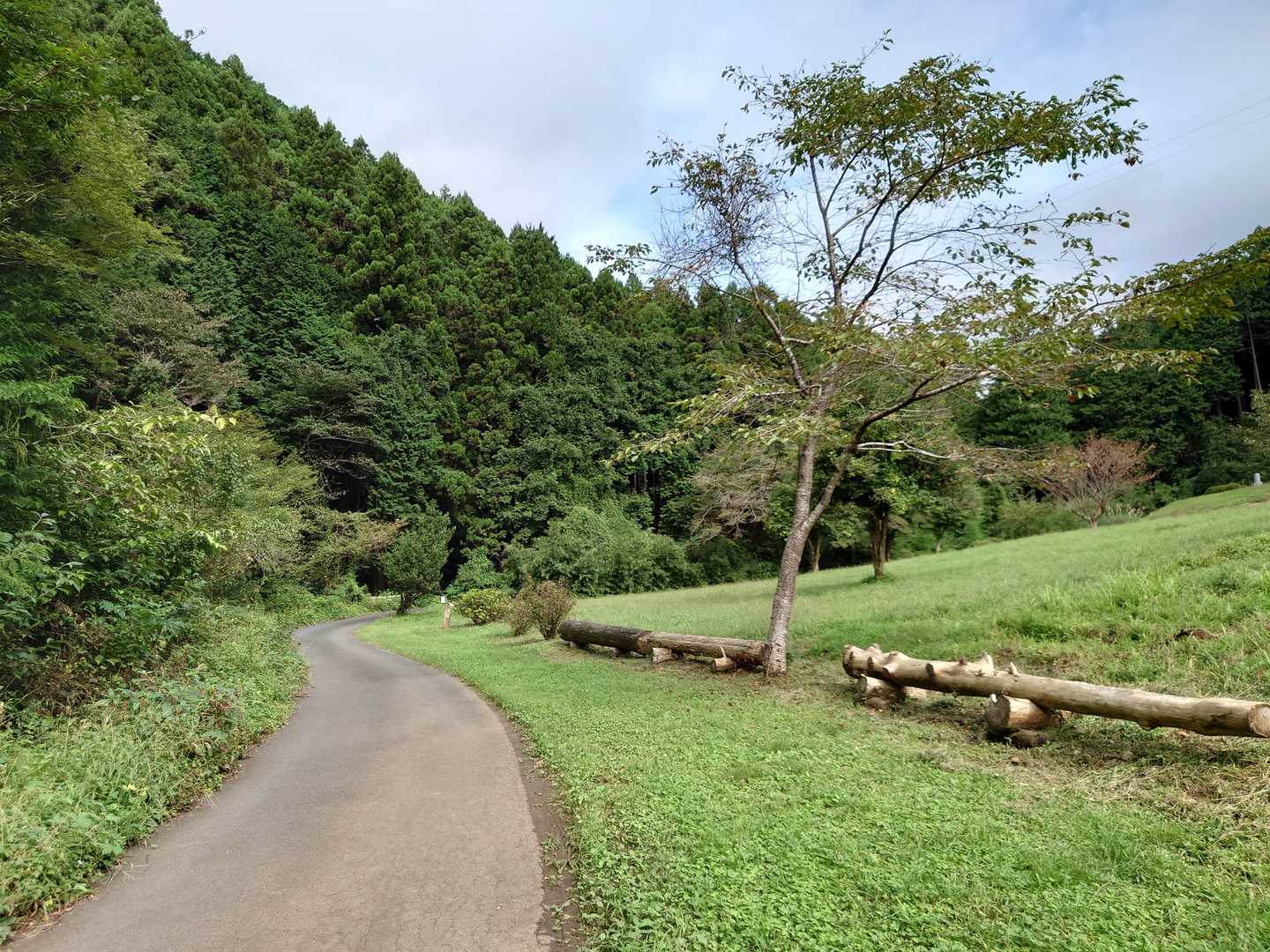 私有地だそうです
綺麗にされてますね〜♪