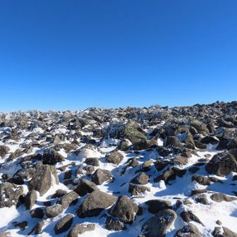 素晴らしいね〜