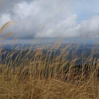 ススキが少なくなってきたので、景色がみえる