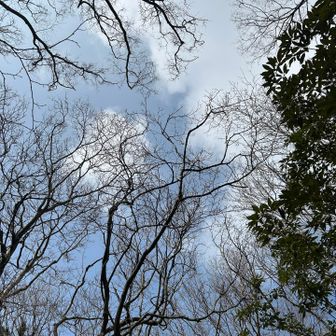 青空になりました