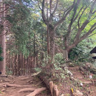 小屋の陰に...