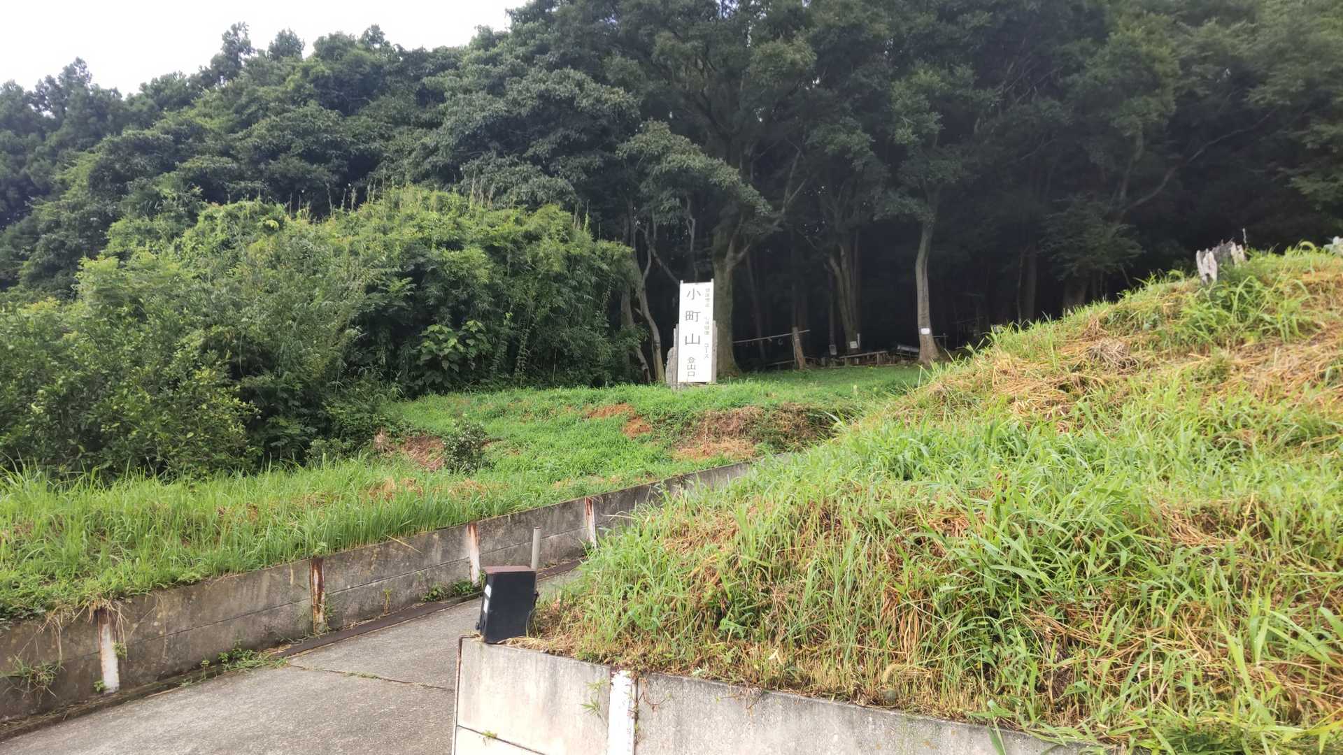 でも〜、やっぱり、山、登ろーってことで🤣
小町の館から、小町山へ登りに来ました😉
大好き小町山、dawnさんとも登れるの、嬉しい🤣