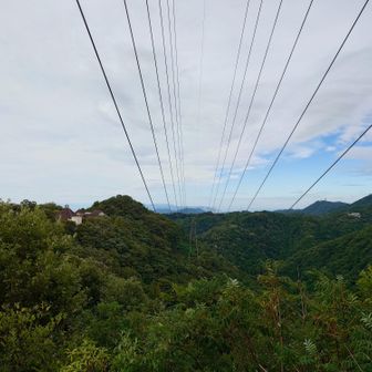 布引ハーブ園が見える。
コース選択いけていなくて六甲縦走路ではないほうから来てしまった…