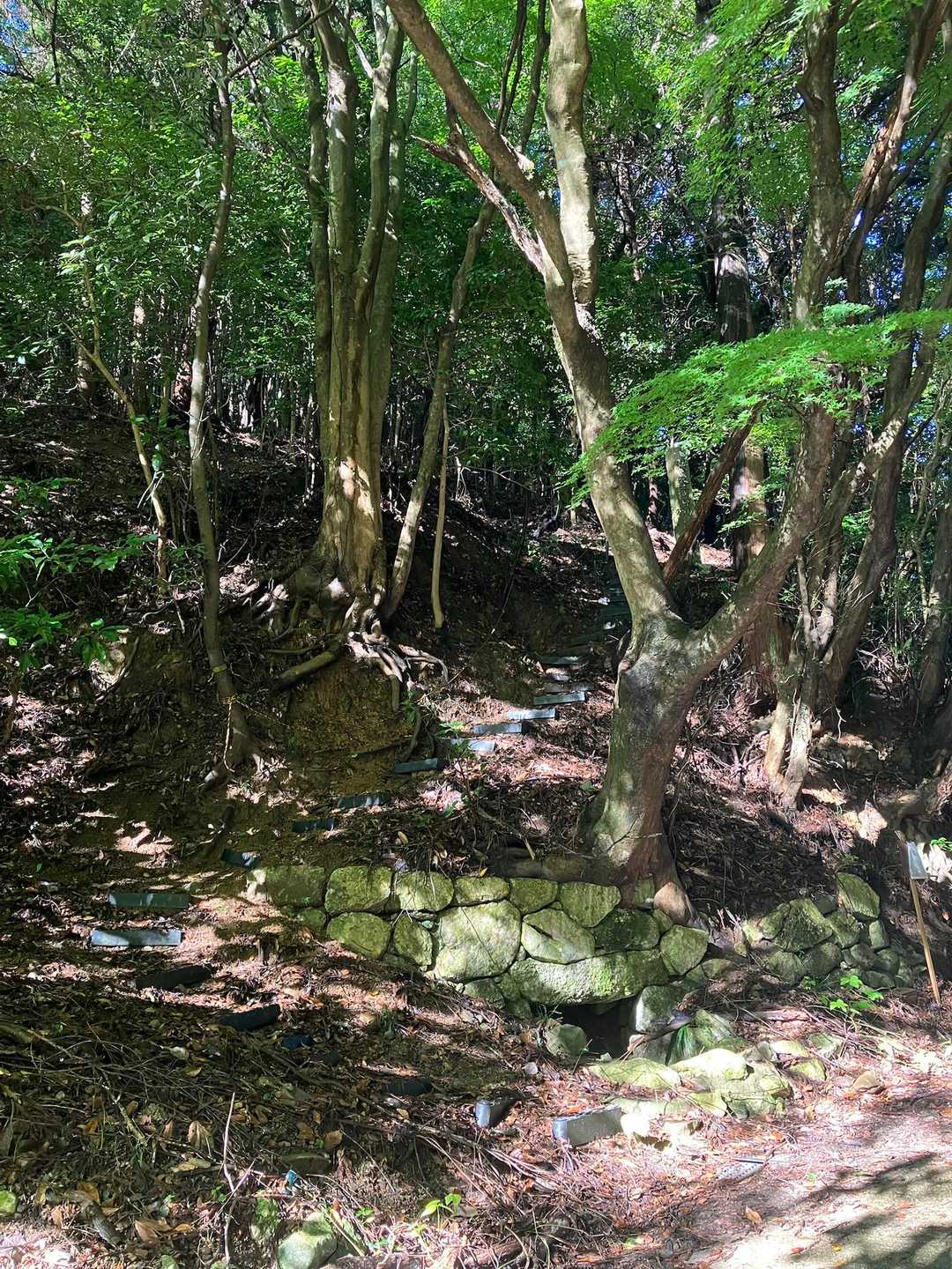 金辺峠-茶臼山-新城-金満山-焼立山 周回コースの写真