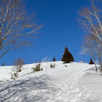 稜線まであと少し
天気よし