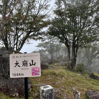 着いた
景色見えないけど٩( ᐛ )و

大崩山はあけぼのツツジが有名って知ってる