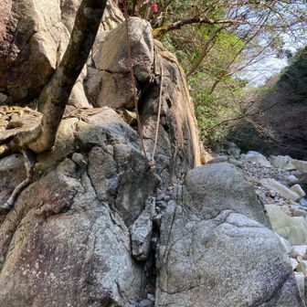 ロープ🪢にしがみついて
乗り越える(* 'ᵕ' )☆