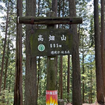 結構このコース長い…！
ということにこの辺りで気づきました