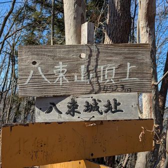 八束山(八束城址)山頂に到着。城址とあるので、ここにもお城が建っていたと思われます。