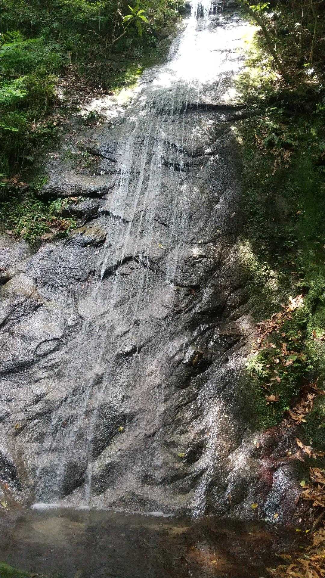 三郡山 往復コースの写真