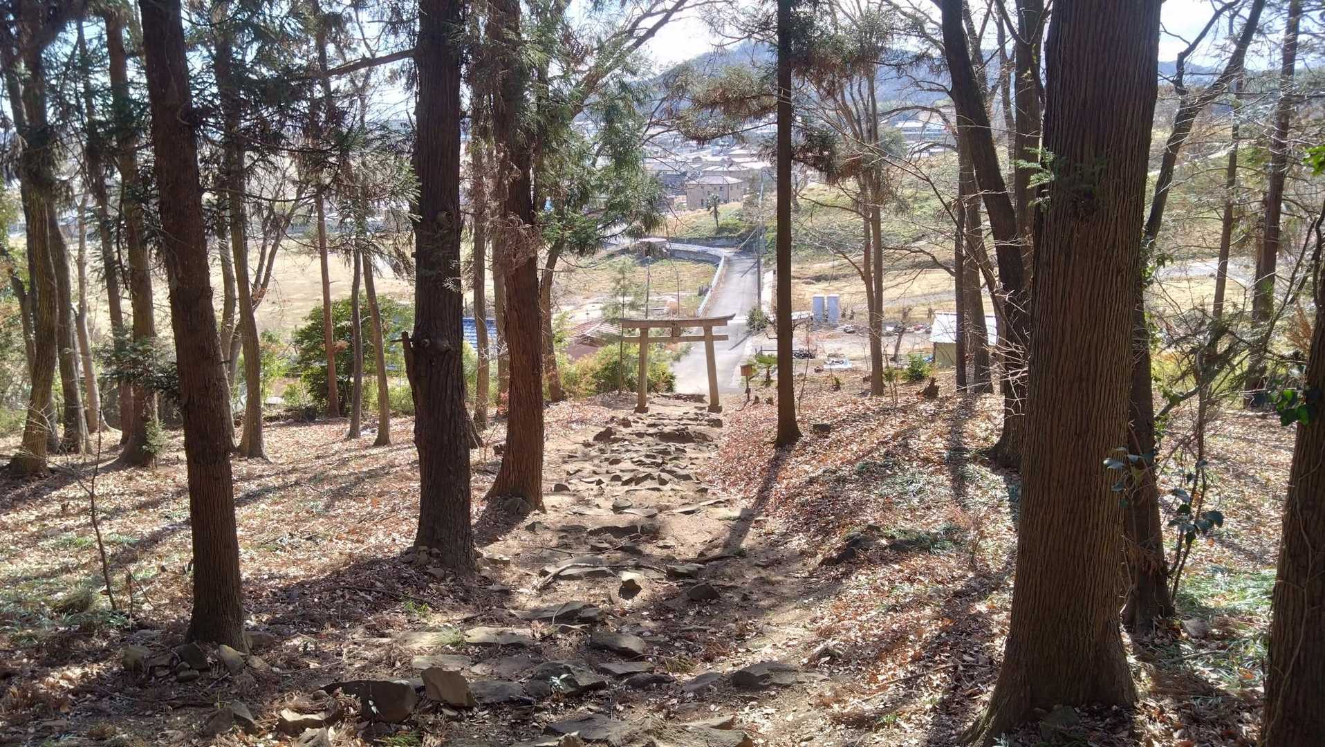 のどかな景色