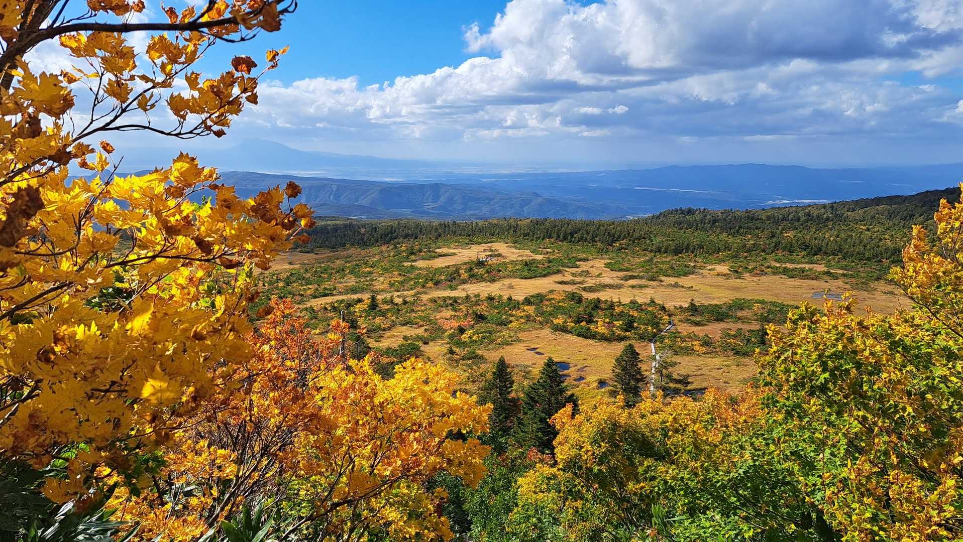 まさに紅葉🍁の見頃:八甲田毛無岱 / noritakaの登山データ | YAMAP
