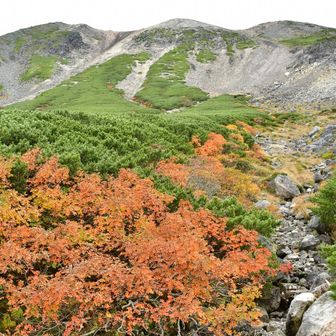 肩の小屋口バス停からは登山道を離れて、車道を下ります。