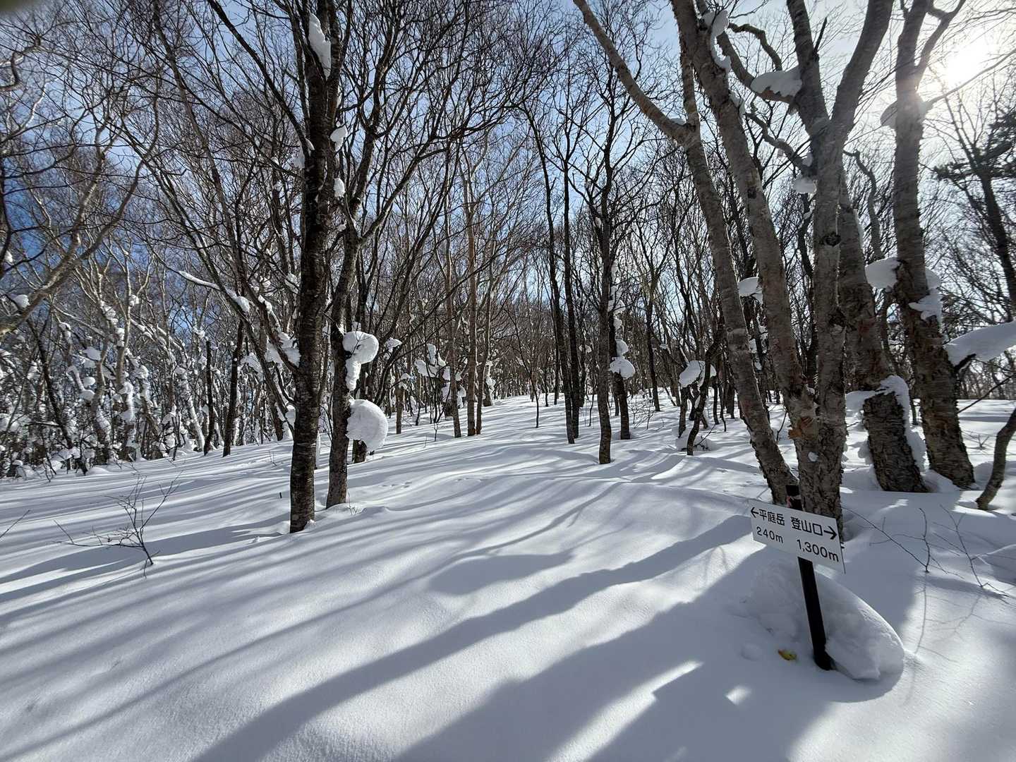 あと240m🪧
暖かいから霧氷が溶けてパラパラ落ちてくる😅