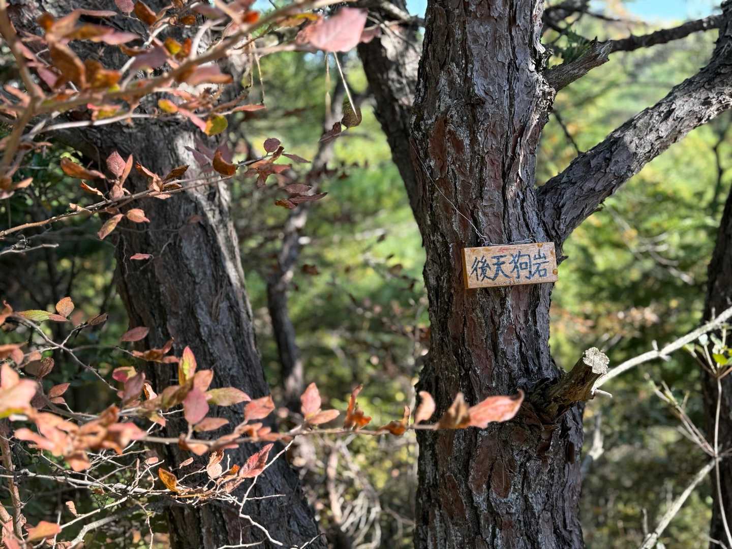 後天狗岩
奥に眺望の良いところがあるようですが道が細かったので行きませんでした