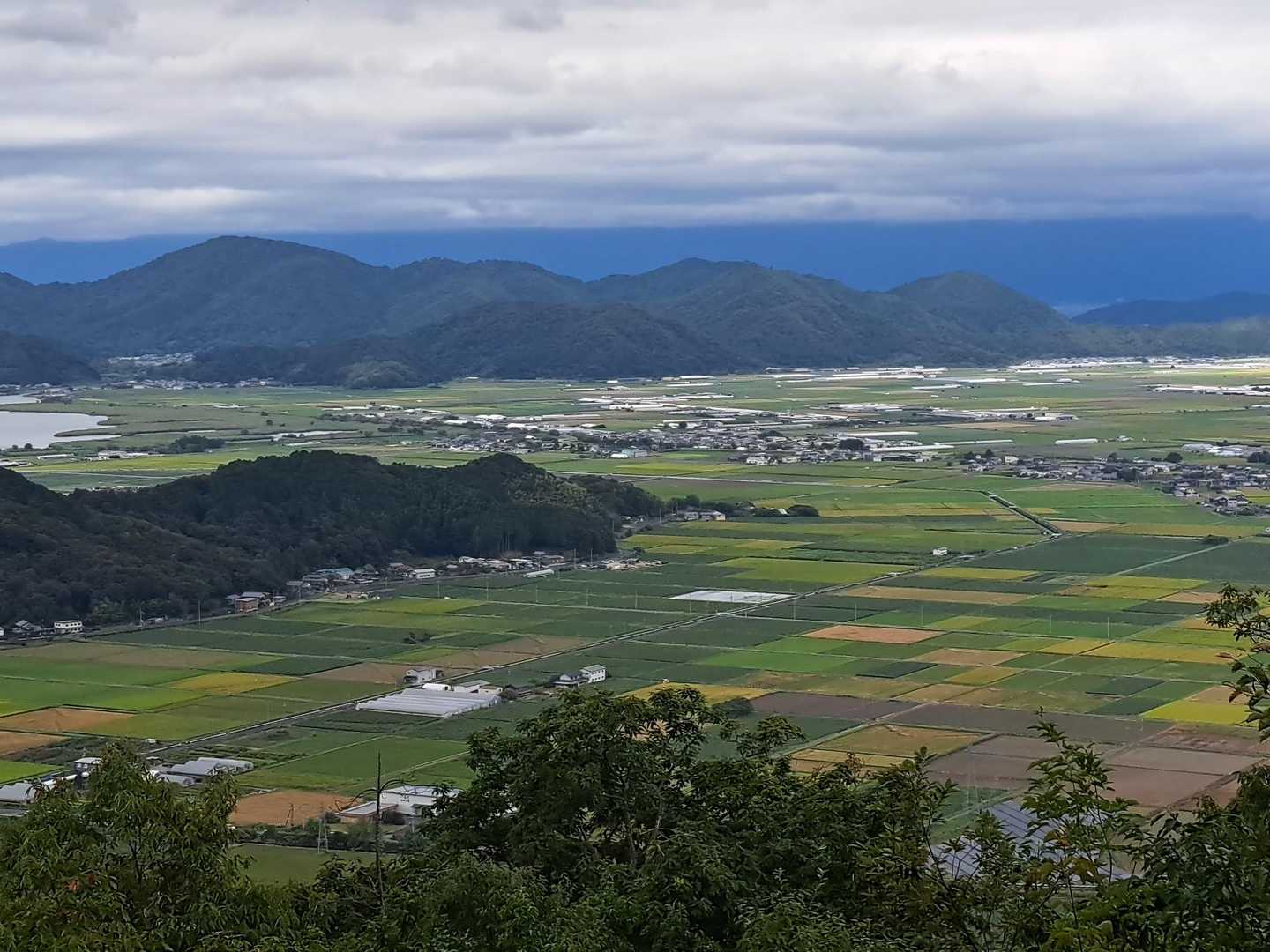 予報☁☂️なので仕方ないけど、パッチワーク💚いいな〰