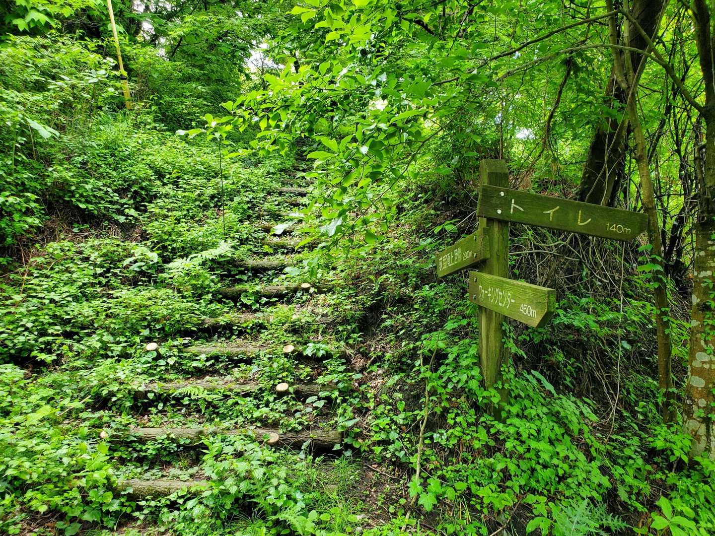 荻岳登山口-荻岳 往復コースの写真
