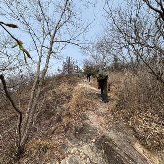 どんどん登ります