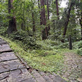 右側から来ました。
