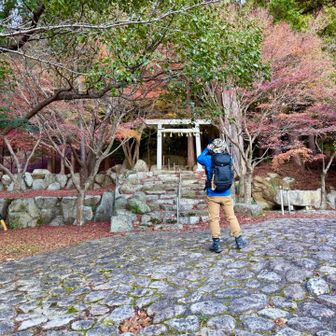 たつさんいつもありがとうございます✨