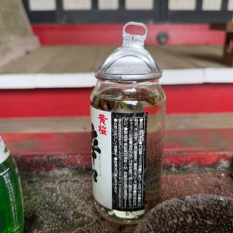 おろっ、日本酒の甘い匂いにつられて瓶内に入り込んだオオスズメバチが溺れてた😳（よく見たら辛口なんだけどね😆❗️）無賽銭の分際で誠に勝手ながら酒を返して逃してやりました🙇‍♂️